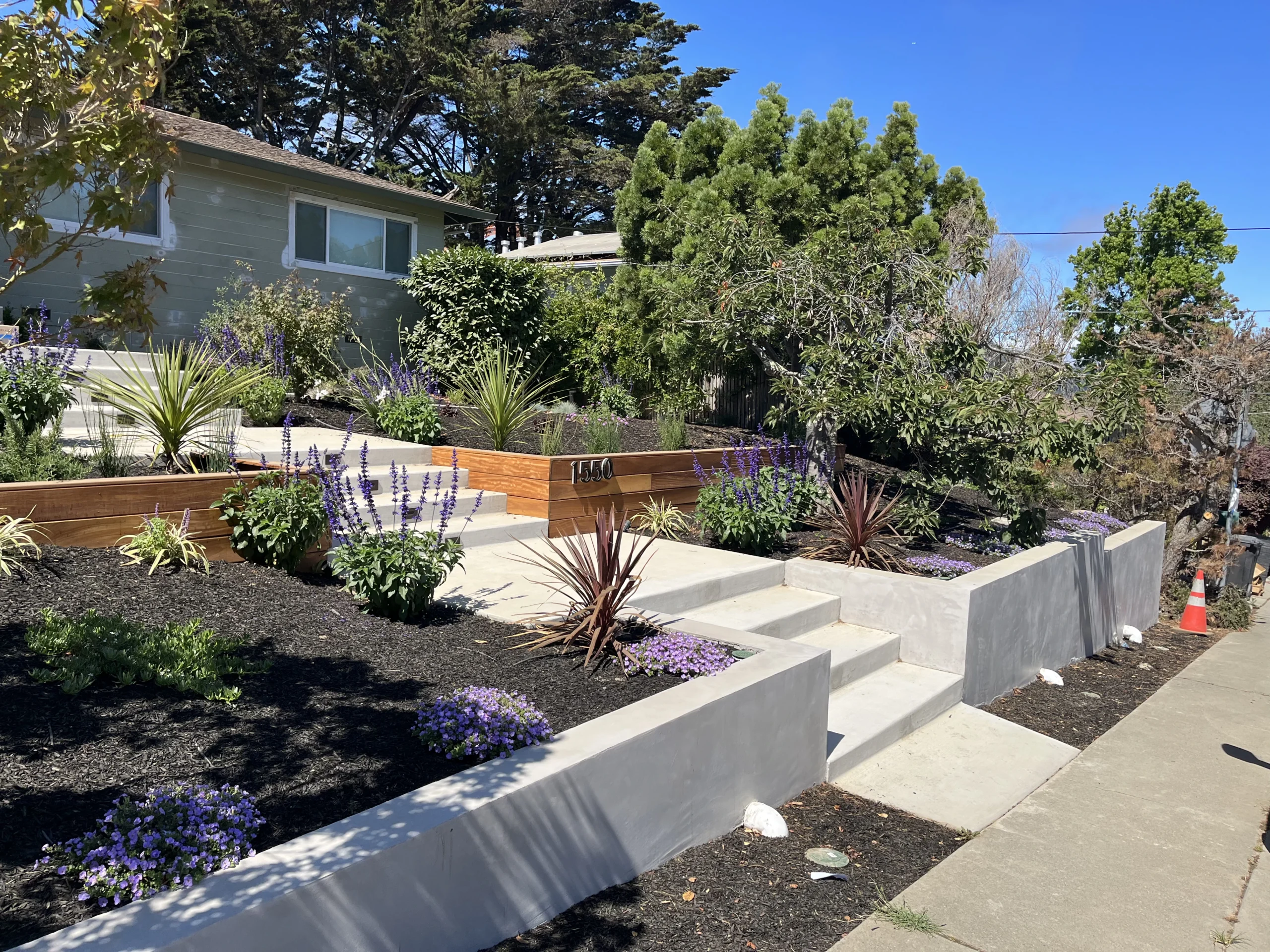 Board-formed concrete retaining walls and steps with drought-tolerant planting