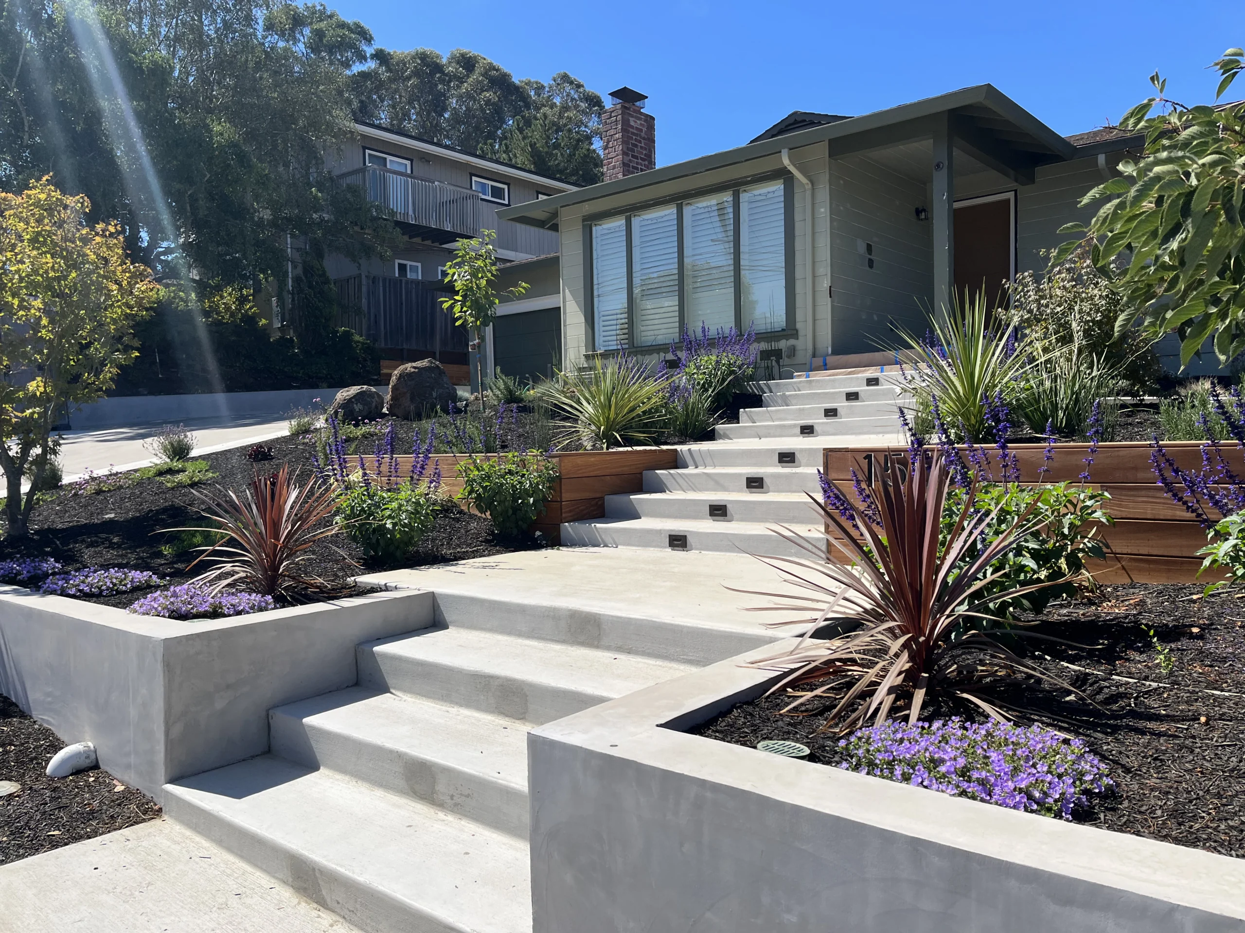 Concrete steps and planting beds in a modern front yard
